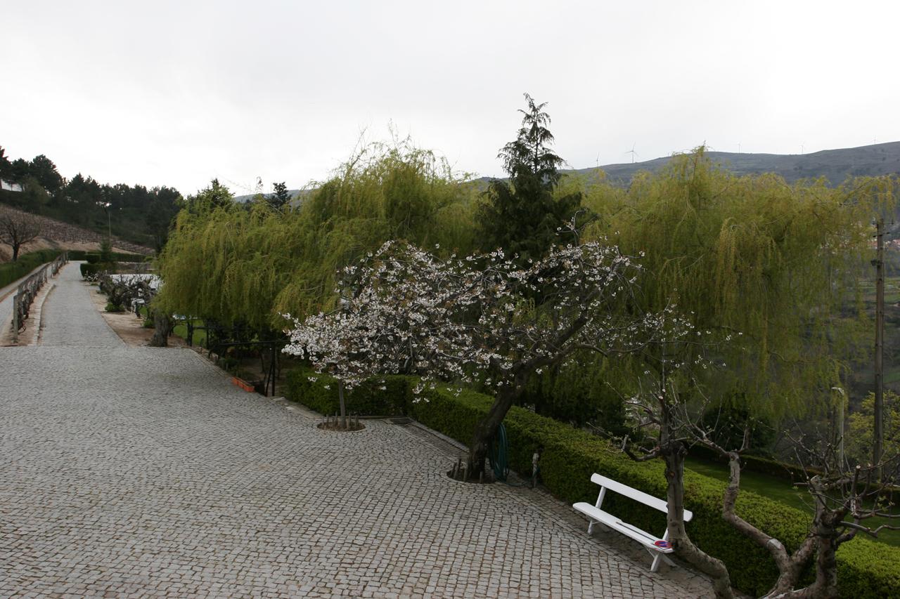 Hotel Quinta Da Timpeira Lamego Exterior foto